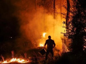 Read more about the article Especialista considera que incêndios da semana passada são distintos de 2017.